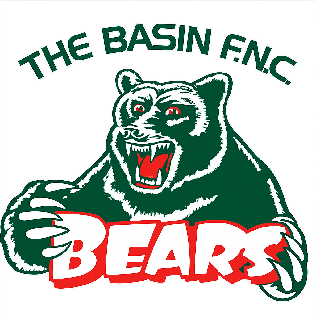 The Basin Football & Netball Club